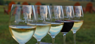 Trump Winery Tasting Room